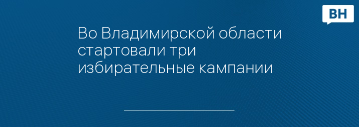 Во Владимирской области стартовали три избирательные кампании