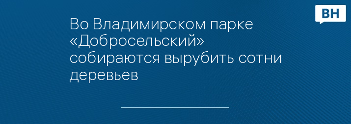 Во Владимирском парке «Добросельский» собираются вырубить сотни деревьев