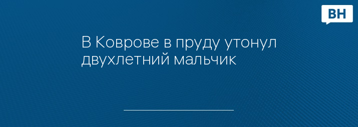 В Коврове в пруду утонул двухлетний мальчик