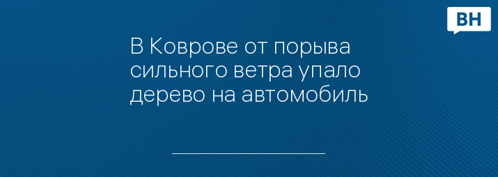 В Коврове от порыва сильного ветра упало дерево на автомобиль