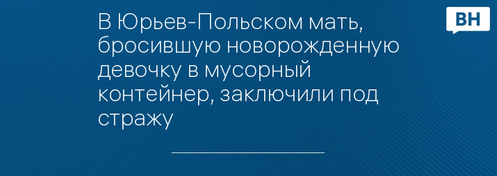 В Юрьев-Польском мать, бросившую новорожденную девочку в мусорный контейнер, заключили под стражу