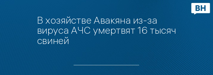 В хозяйстве Авакяна из-за вируса АЧС умертвят 16 тысяч свиней 