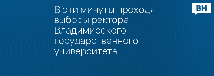 В эти минуты проходят выборы ректора Владимирского государственного университета