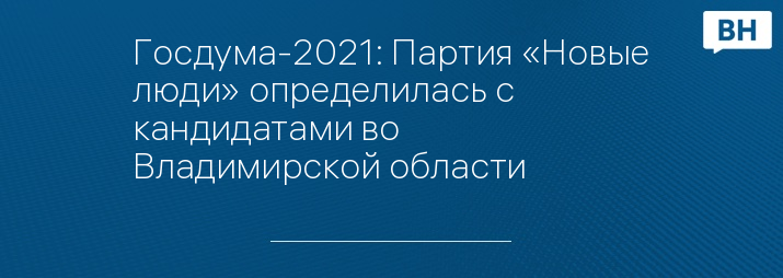 Госдума-2021: Партия «Новые люди» определилась с кандидатами во Владимирской области