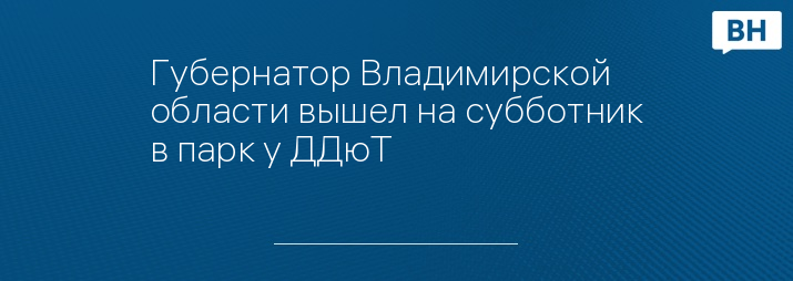 Губернатор Владимирской области вышел на субботник в парк у ДДюТ