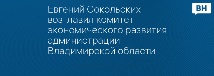 Евгений Сокольских возглавил комитет экономического развития администрации Владимирской области