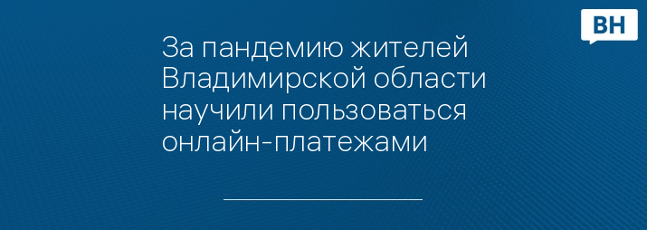 За пандемию жителей Владимирской области научили пользоваться онлайн-платежами