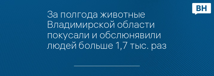 За полгода животные Владимирской области покусали и обслюнявили людей больше 1,7 тыс. раз