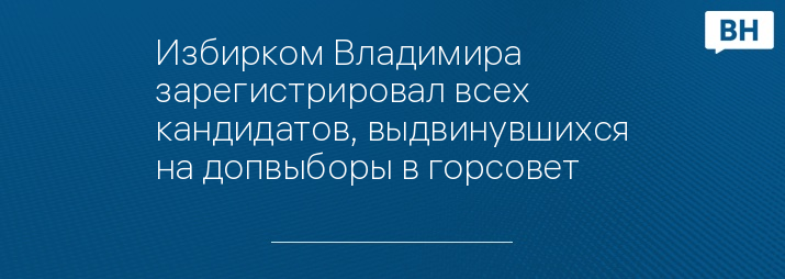 Избирком Владимира зарегистрировал всех кандидатов, выдвинувшихся на допвыборы в горсовет