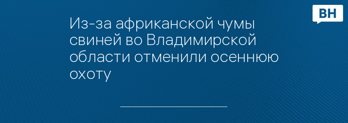 Из-за африканской чумы свиней во Владимирской области отменили осеннюю охоту