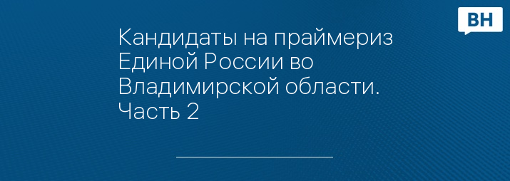 Кандидаты на праймериз Единой России во Владимирской области. Часть 2