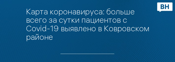 Карта коронавируса: больше всего за сутки пациентов с Covid-19 выявлено в Ковровском районе