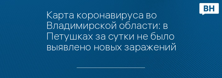 Карта коронавируса во Владимирской области: в Петушках за сутки не было выявлено новых заражений