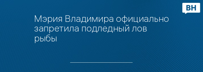 Мэрия Владимира официально запретила подледный лов рыбы