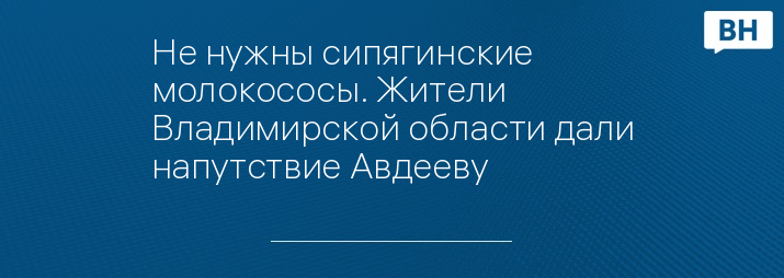 Не нужны сипягинские молокососы. Жители Владимирской области дали напутствие Авдееву