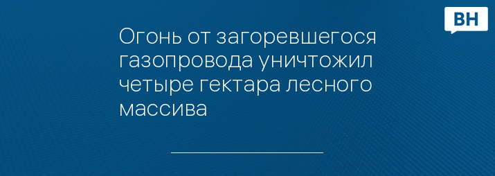 Огонь от загоревшегося газопровода уничтожил четыре гектара лесного массива