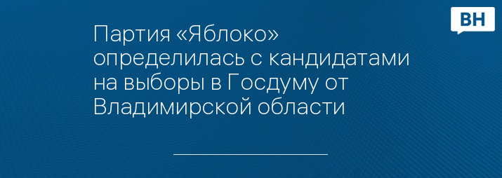 Партия «Яблоко» определилась с кандидатами на выборы в Госдуму от Владимирской области