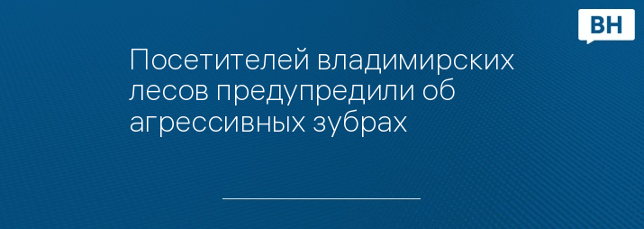 Посетителей владимирских лесов предупредили об агрессивных зубрах