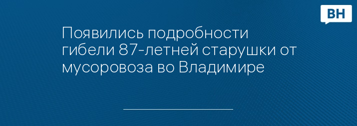 Появились подробности гибели 87-летней старушки от мусоровоза во Владимире