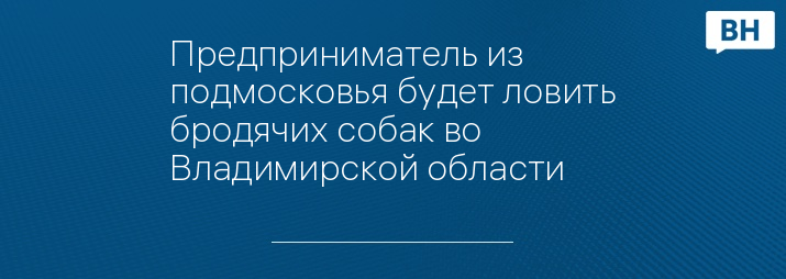 Предприниматель из подмосковья будет ловить бродячих собак во Владимирской области 