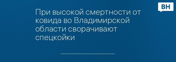 При высокой смертности от ковида во Владимирской области сворачивают спецкойки  