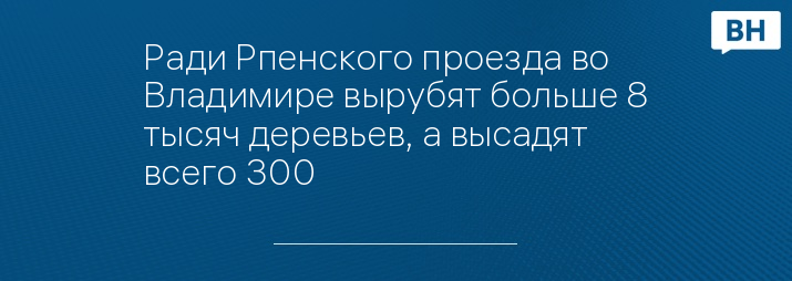 Ради Рпенского проезда во Владимире вырубят больше 8 тысяч деревьев, а высадят всего 300