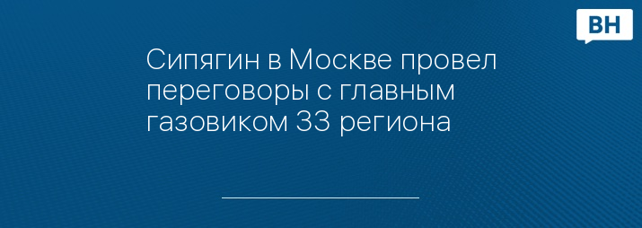 Сипягин в Москве провел переговоры с главным газовиком 33 региона