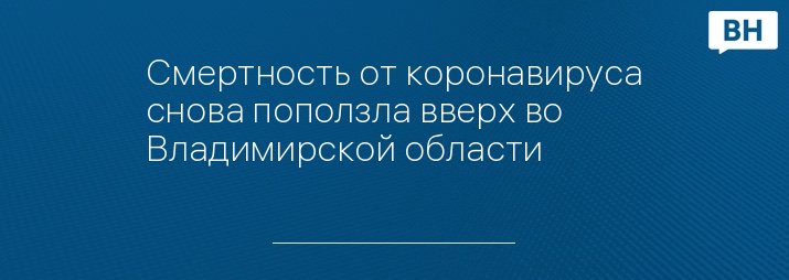 Смертность от коронавируса снова поползла вверх во Владимирской области