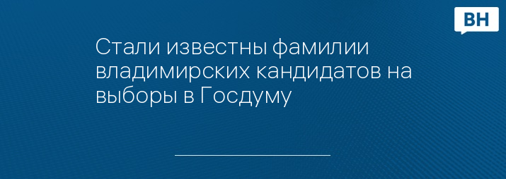 Стали известны фамилии владимирских кандидатов на выборы в Госдуму