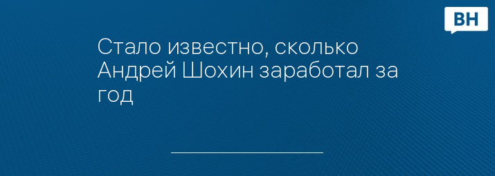 Стало известно, сколько Андрей Шохин заработал за год