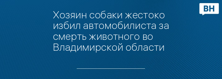 Хозяин собаки жестоко избил автомобилиста за смерть животного во Владимирской области