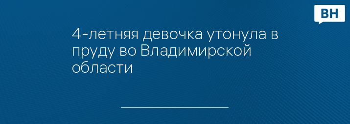 4-летняя девочка утонула в пруду во Владимирской области