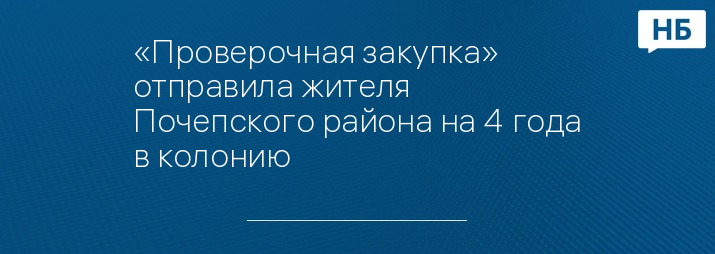 «Проверочная закупка» отправила жителя Почепского района на 4 года в колонию