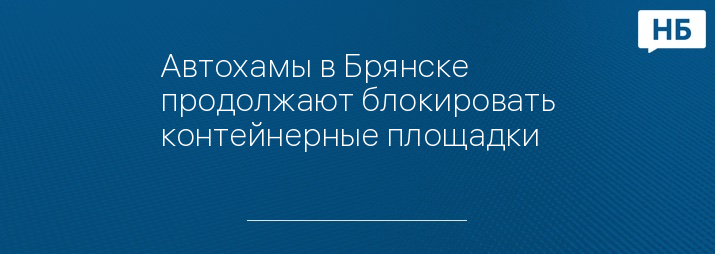 Автохамы в Брянске продолжают блокировать контейнерные площадки