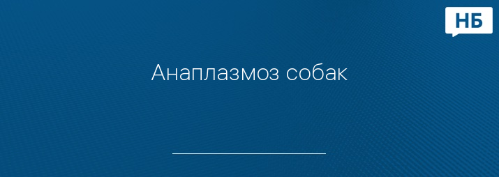 Анаплазмоз собак