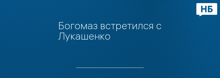 Богомаз встретился с Лукашенко