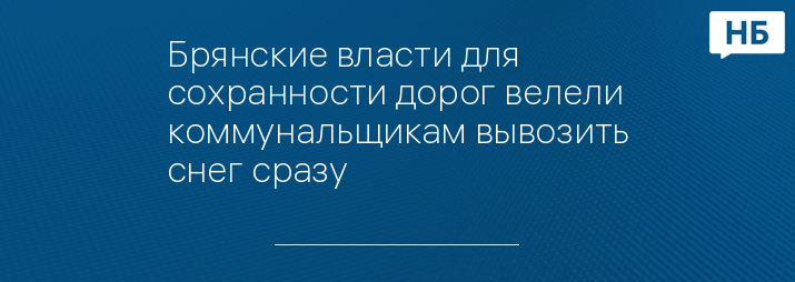 Брянские власти для сохранности дорог велели коммунальщикам вывозить снег сразу