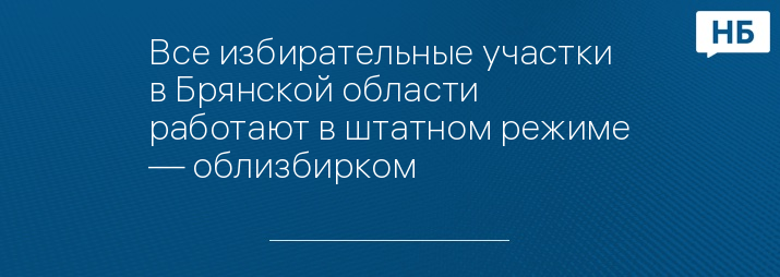 Все избирательные участки в Брянской области работают в штатном режиме — облизбирком