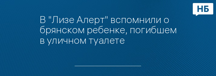 В "Лизе Алерт" вспомнили о брянском ребенке, погибшем в уличном туалете