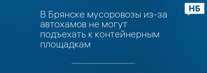 В Брянске мусоровозы из-за автохамов не могут подъехать к контейнерным площадкам