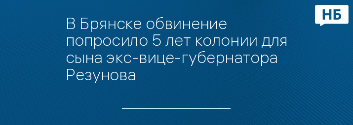 В Брянске обвинение попросило 5 лет колонии для сына экс-вице-губернатора Резунова