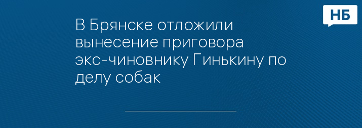 В Брянске отложили вынесение приговора экс-чиновнику Гинькину по делу собак