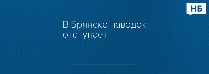 В Брянске паводок отступает