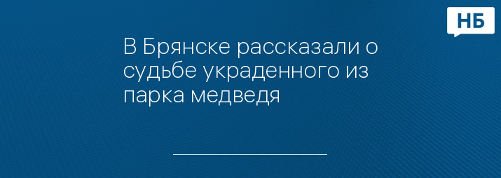 В Брянске рассказали о судьбе украденного из парка медведя