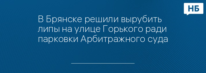 В Брянске решили вырубить липы на улице Горького ради парковки Арбитражного суда