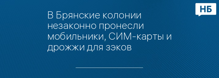 В Брянские колонии незаконно пронесли мобильники, СИМ-карты и дрожжи для зэков