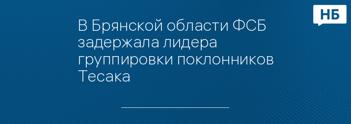 В Брянской области ФСБ задержала лидера группировки поклонников Тесака