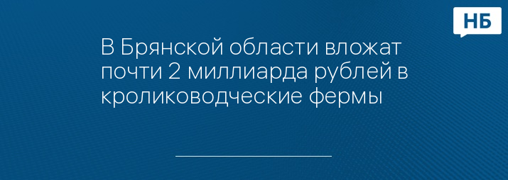 В Брянской области вложат почти 2 миллиарда рублей в кролиководческие фермы