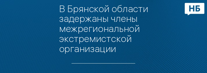 В Брянской области задержаны члены межрегиональной экстремистской организации