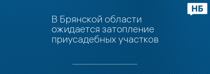 В Брянской области ожидается затопление приусадебных участков